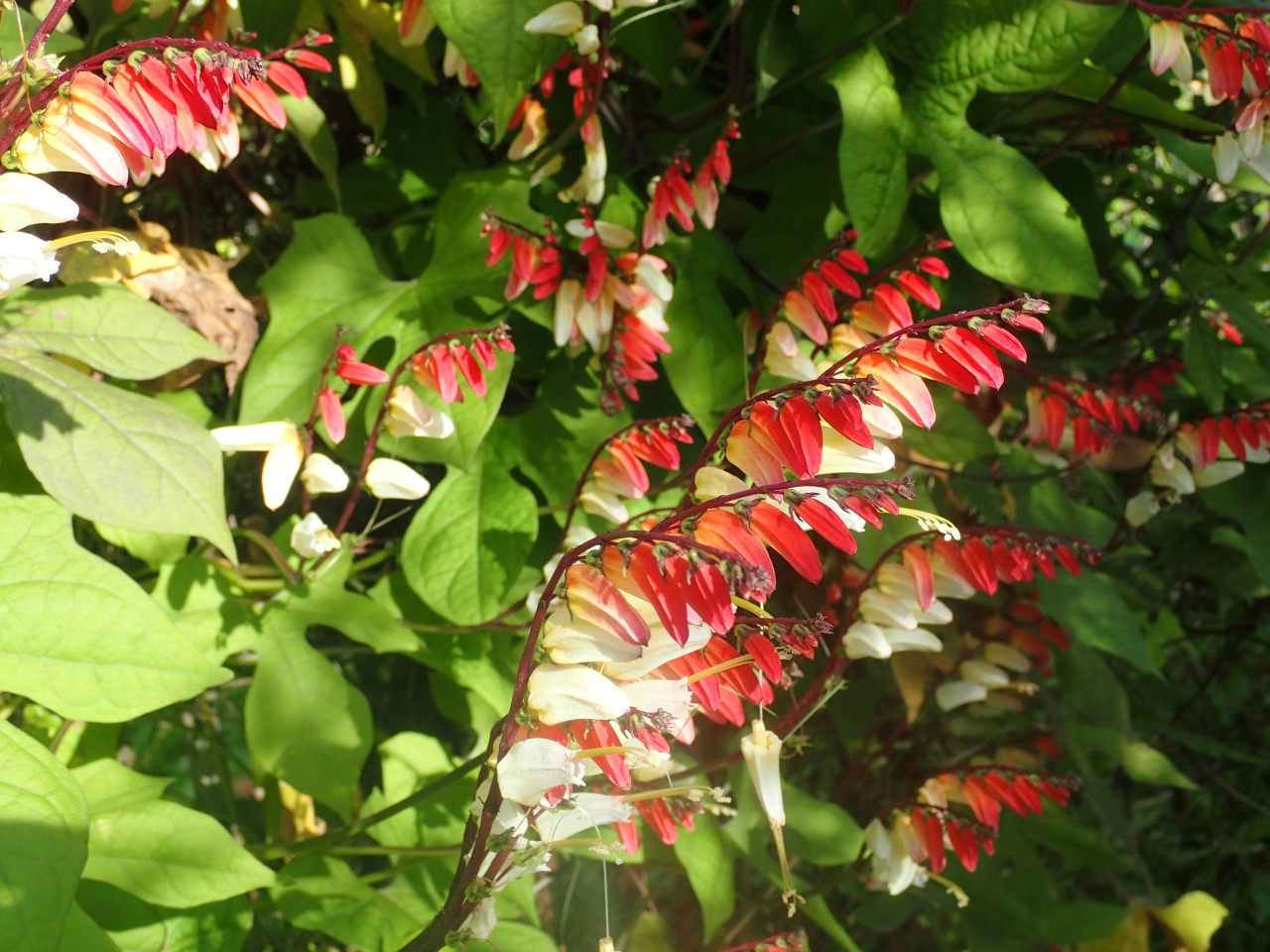 PB170623.JPG