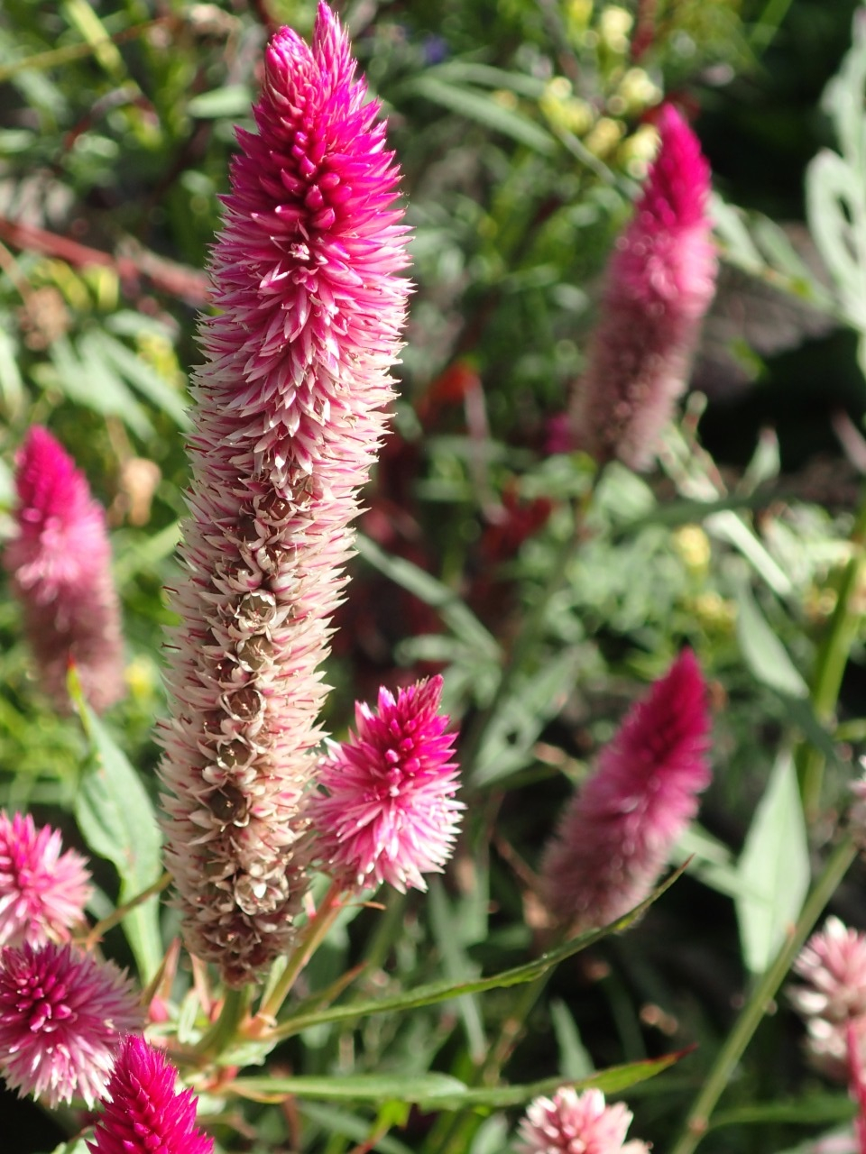 PB010671.JPG