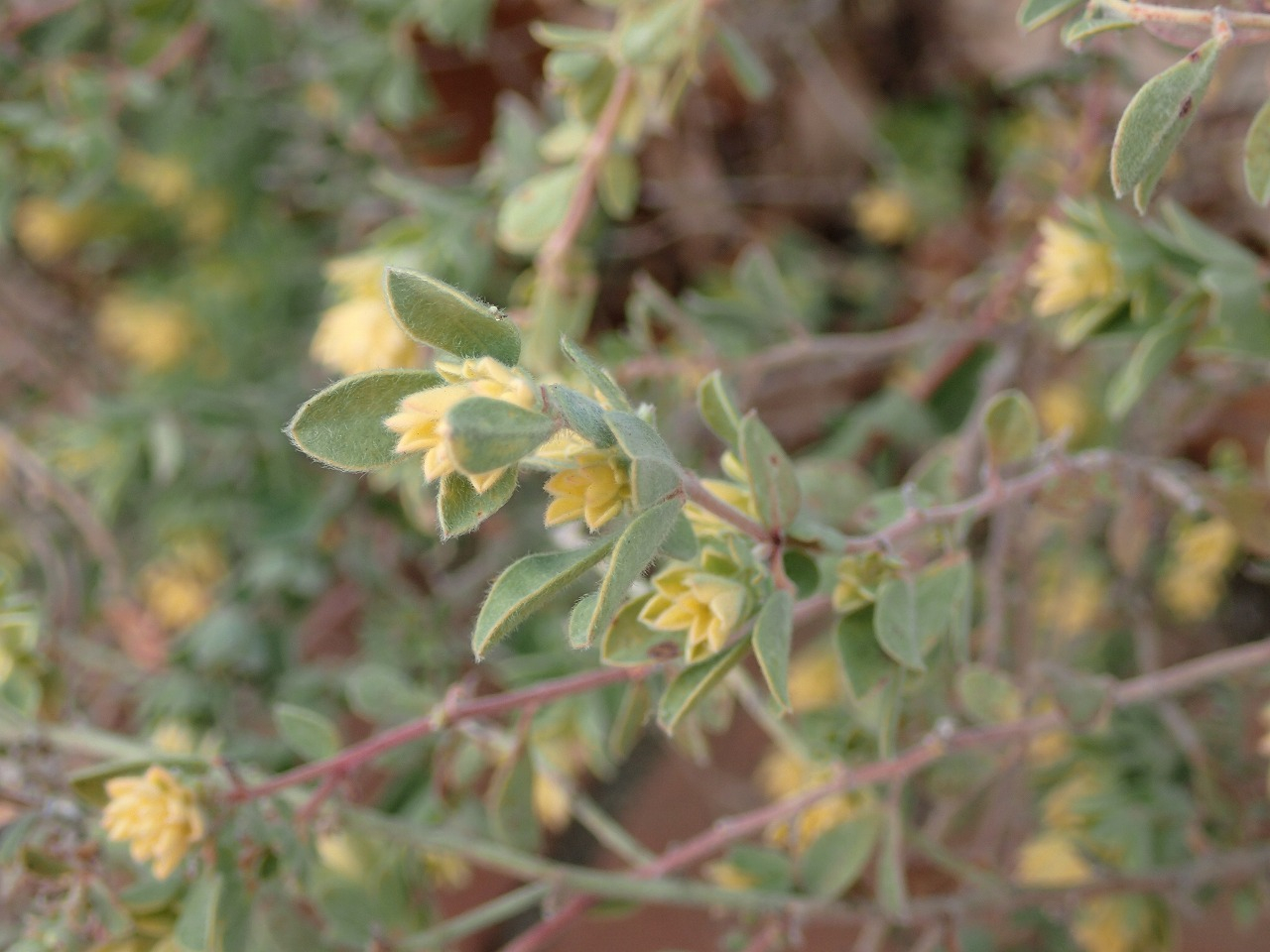 PC220505.jpg