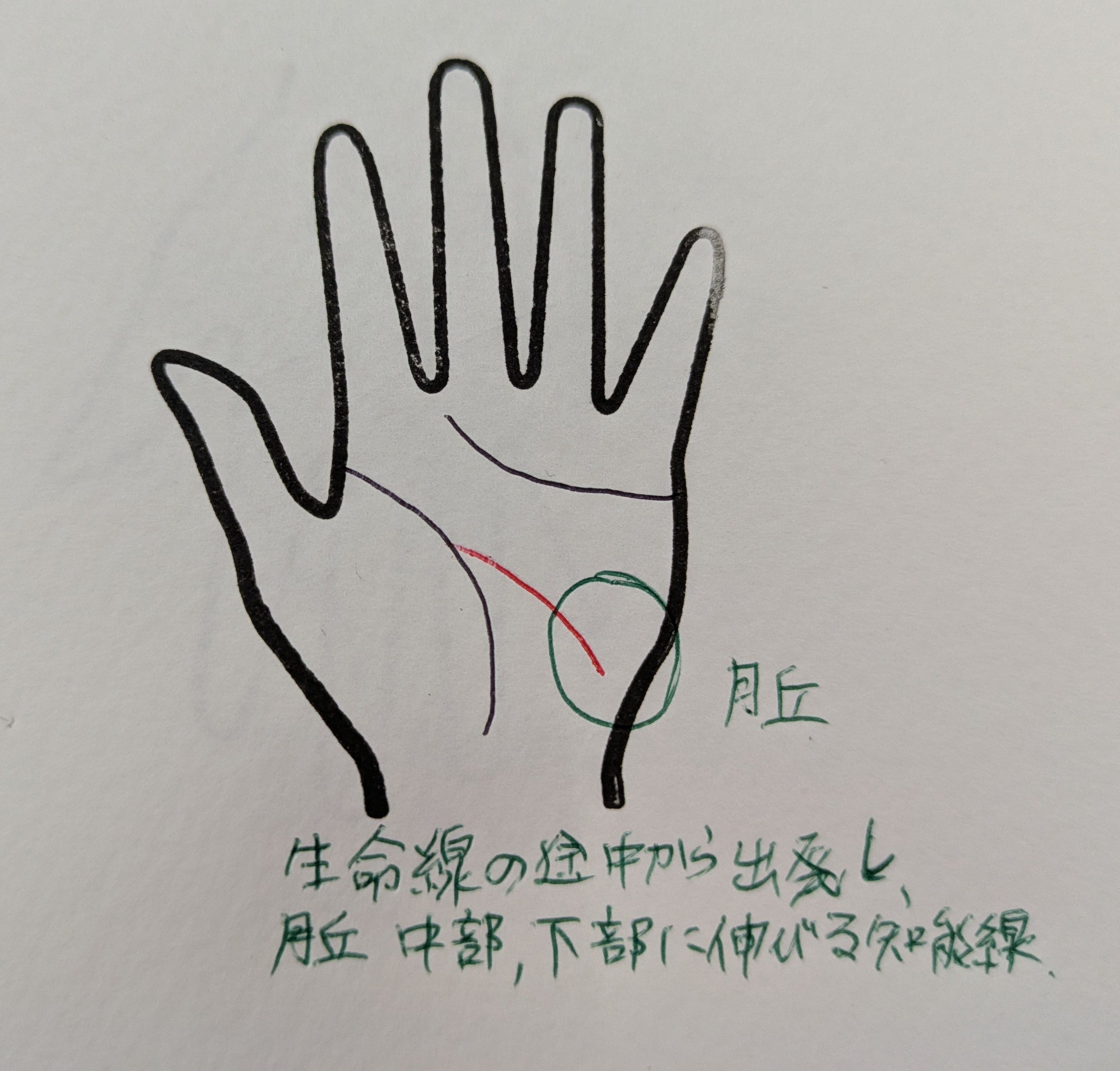 PXL_20251014_215551933.jpg