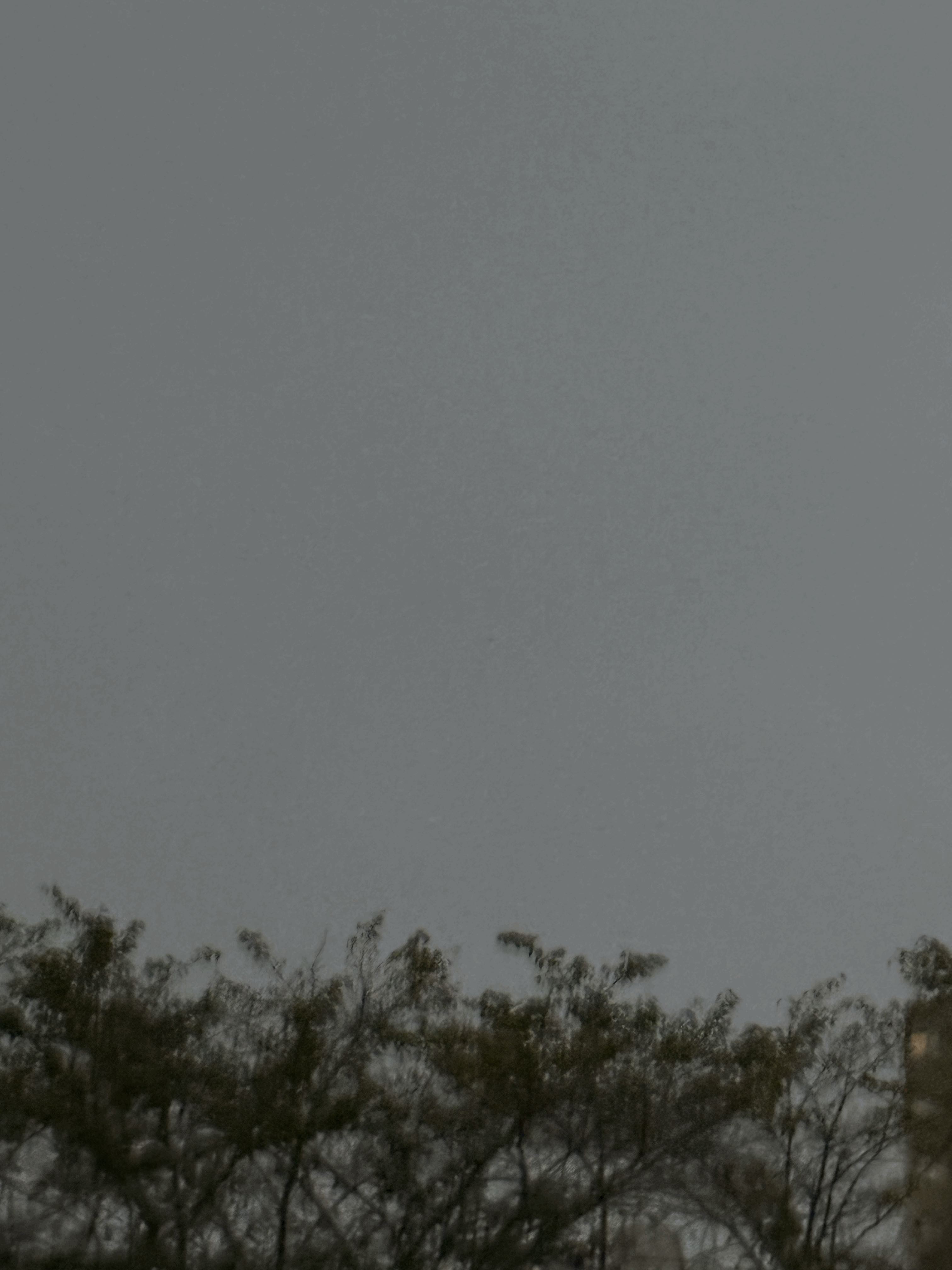 tempImageFdLcFB.gif