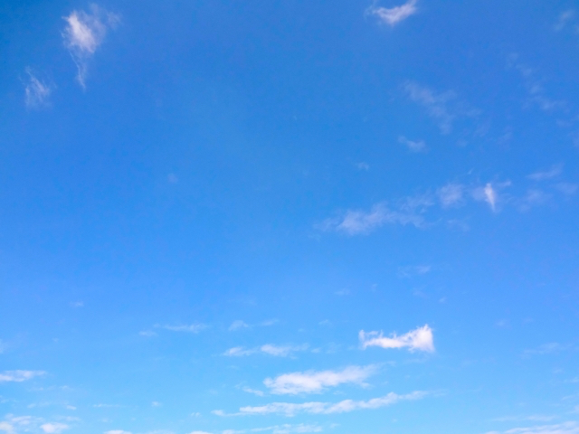 25194577_s-4.jpg