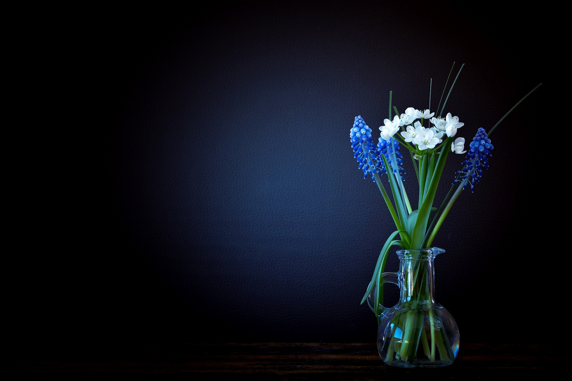 花瓶の花黒.jpg