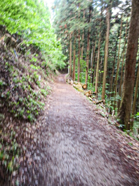 後編最後の道.jpg
