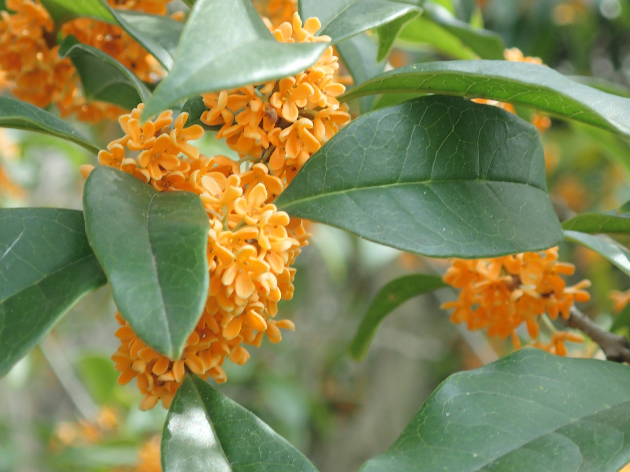PA120538.JPG