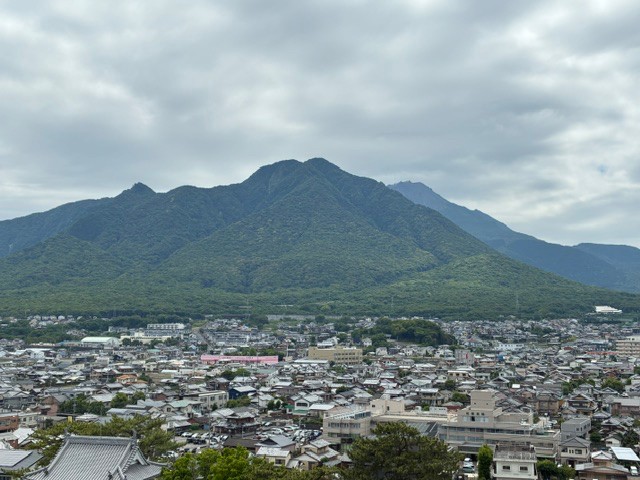 IMG_9354.jpeg