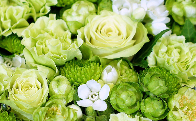 flower-green.jpg