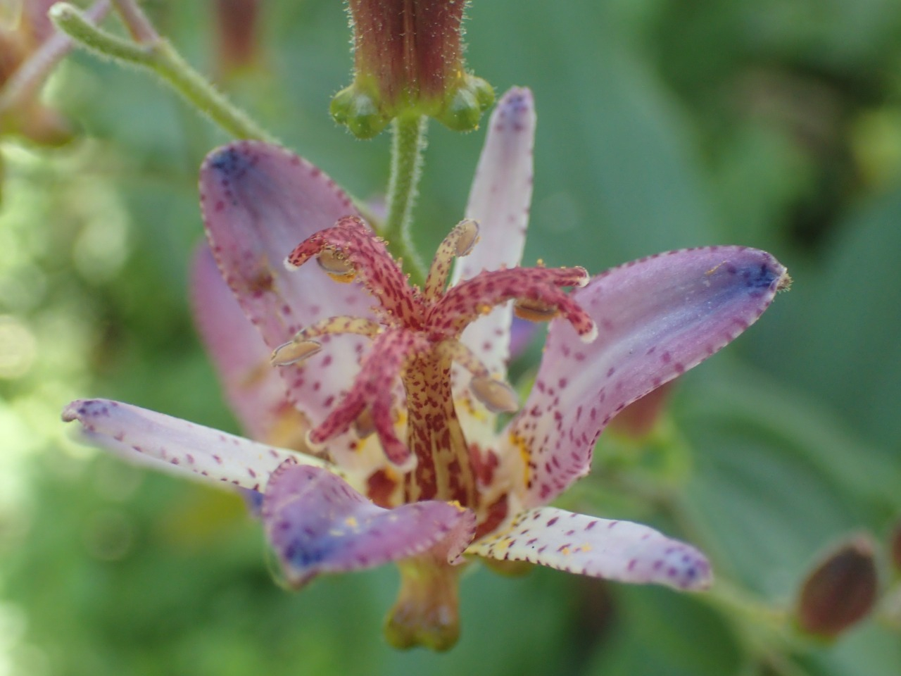 PA120657.JPG