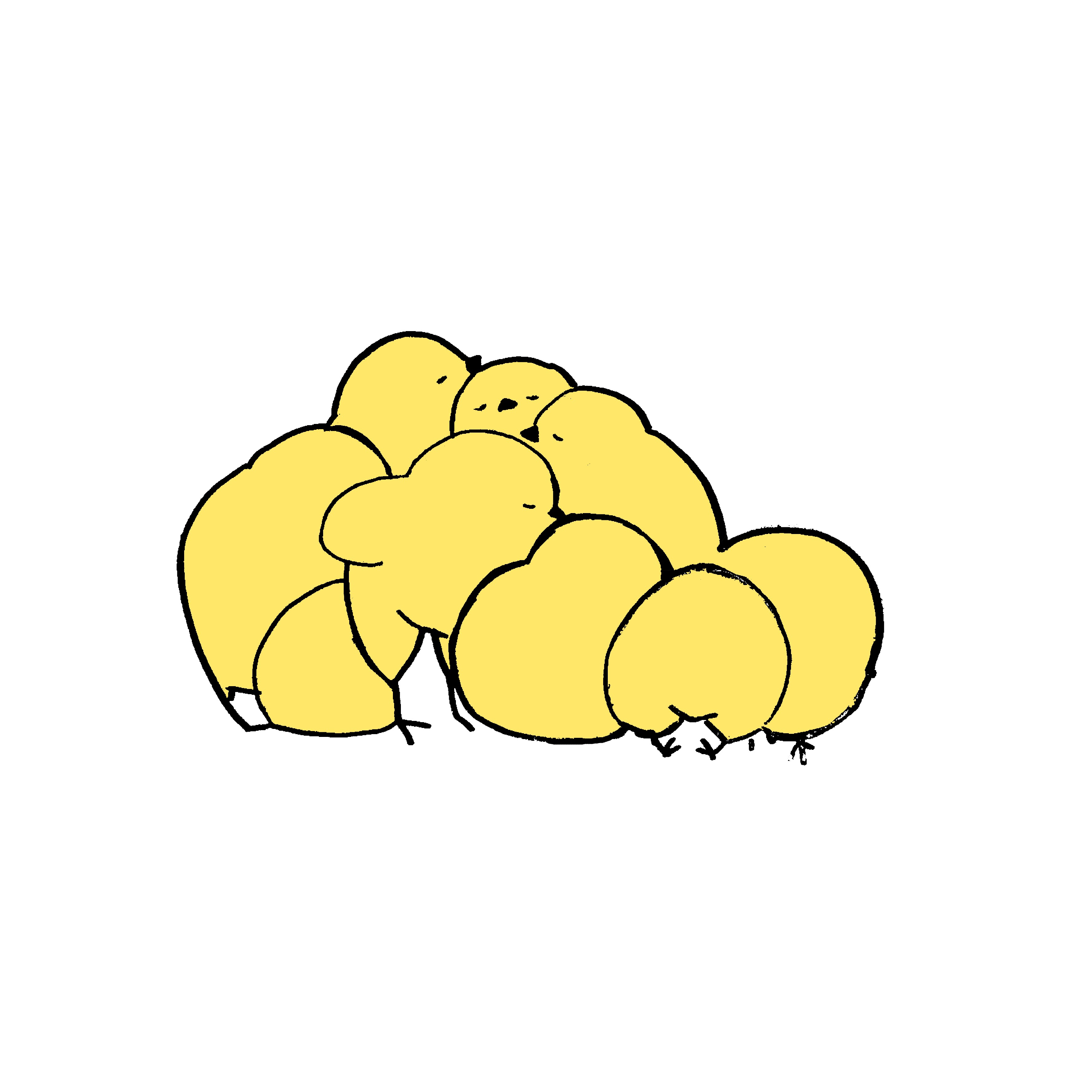 ひよこ３.jpg