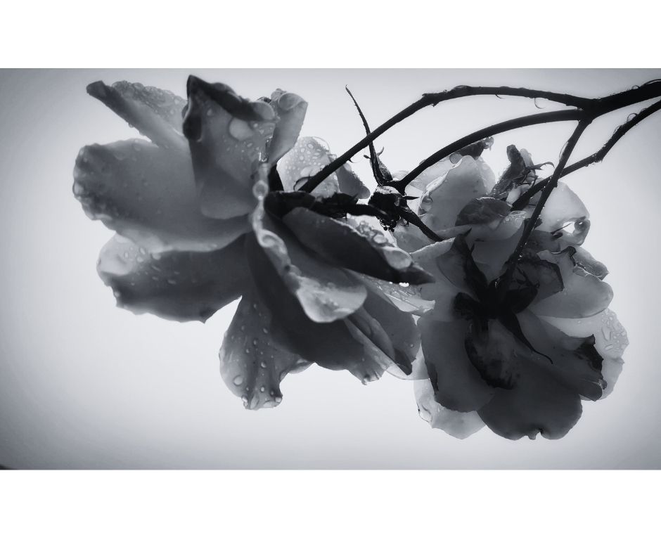 名称未設定のデザイン - 2025-03-03T200439.762.png