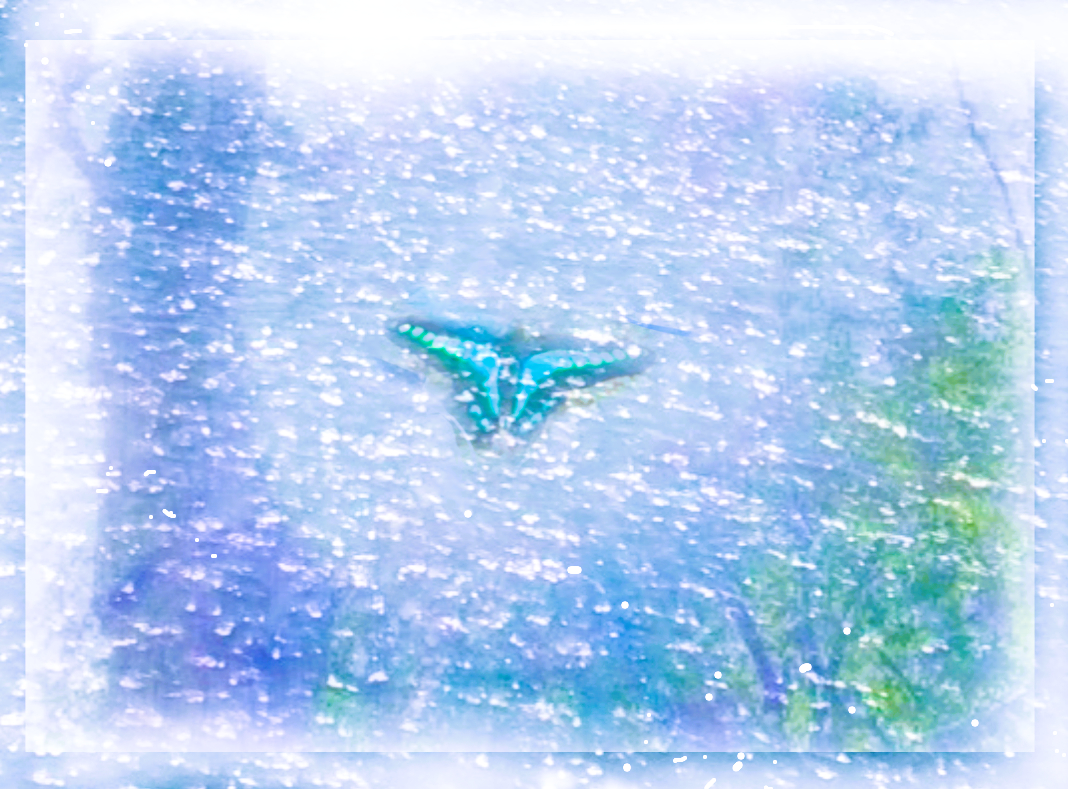 sketch-1700201030516lv.png