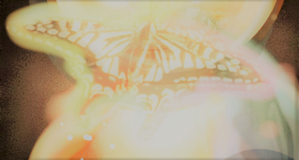 sketch-1649755427395 (4).png