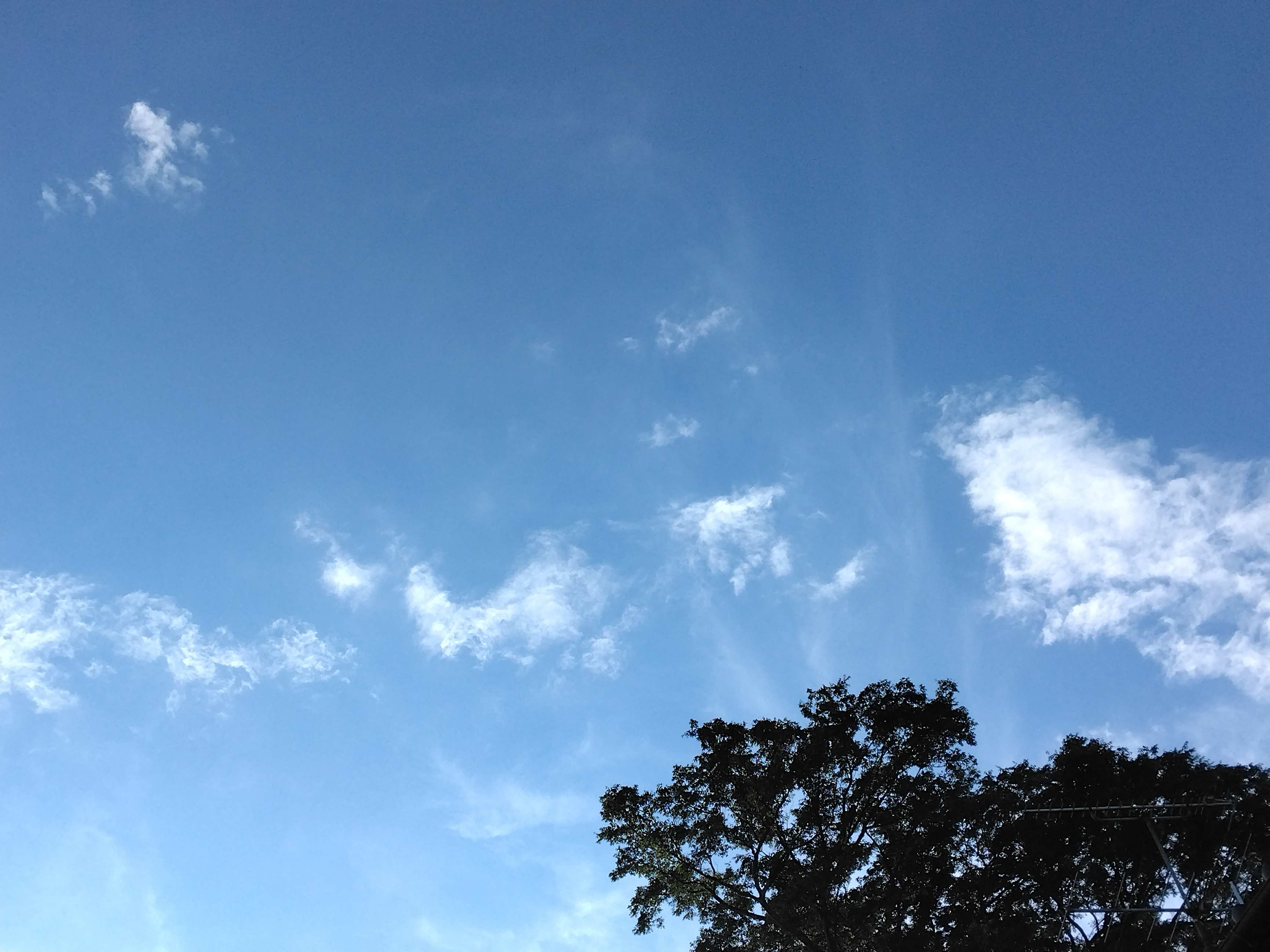 IMG_20260729_171517.jpg