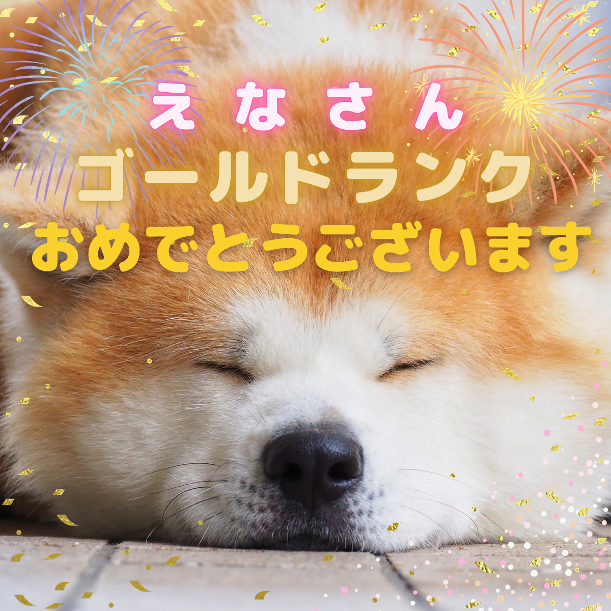 20220902-2.PNG