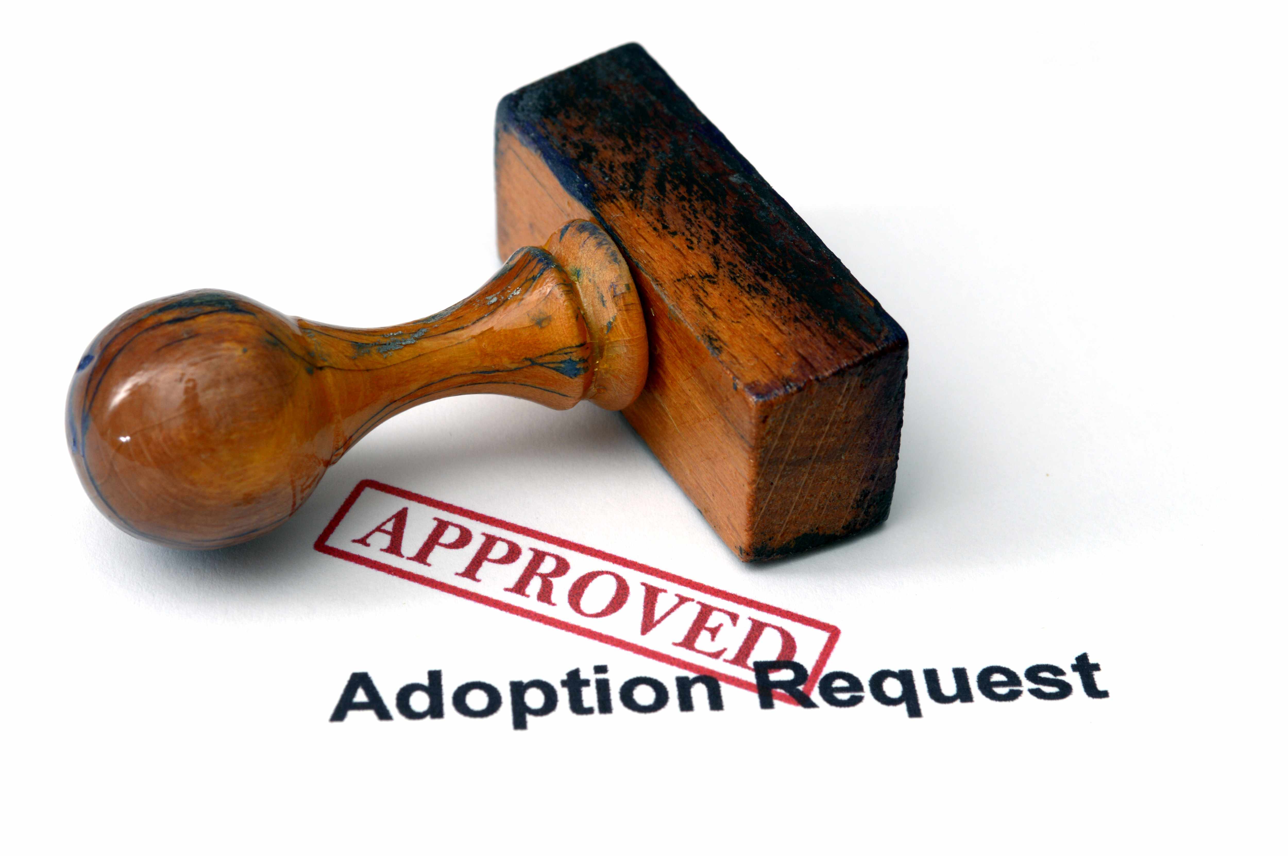 10565303_MotionElements_adoption-request.jpg