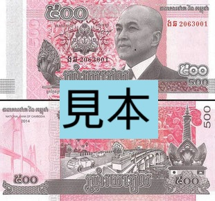 500.jpg