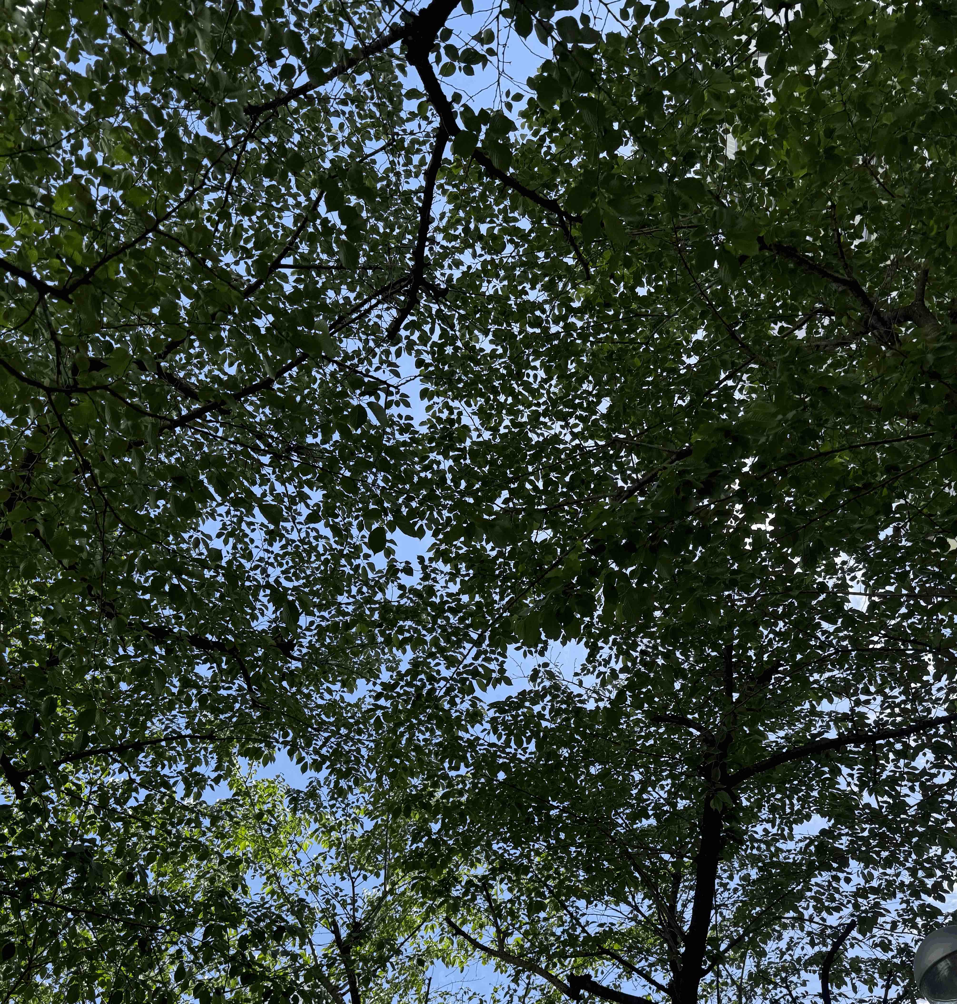 tempImagek25H6L.gif