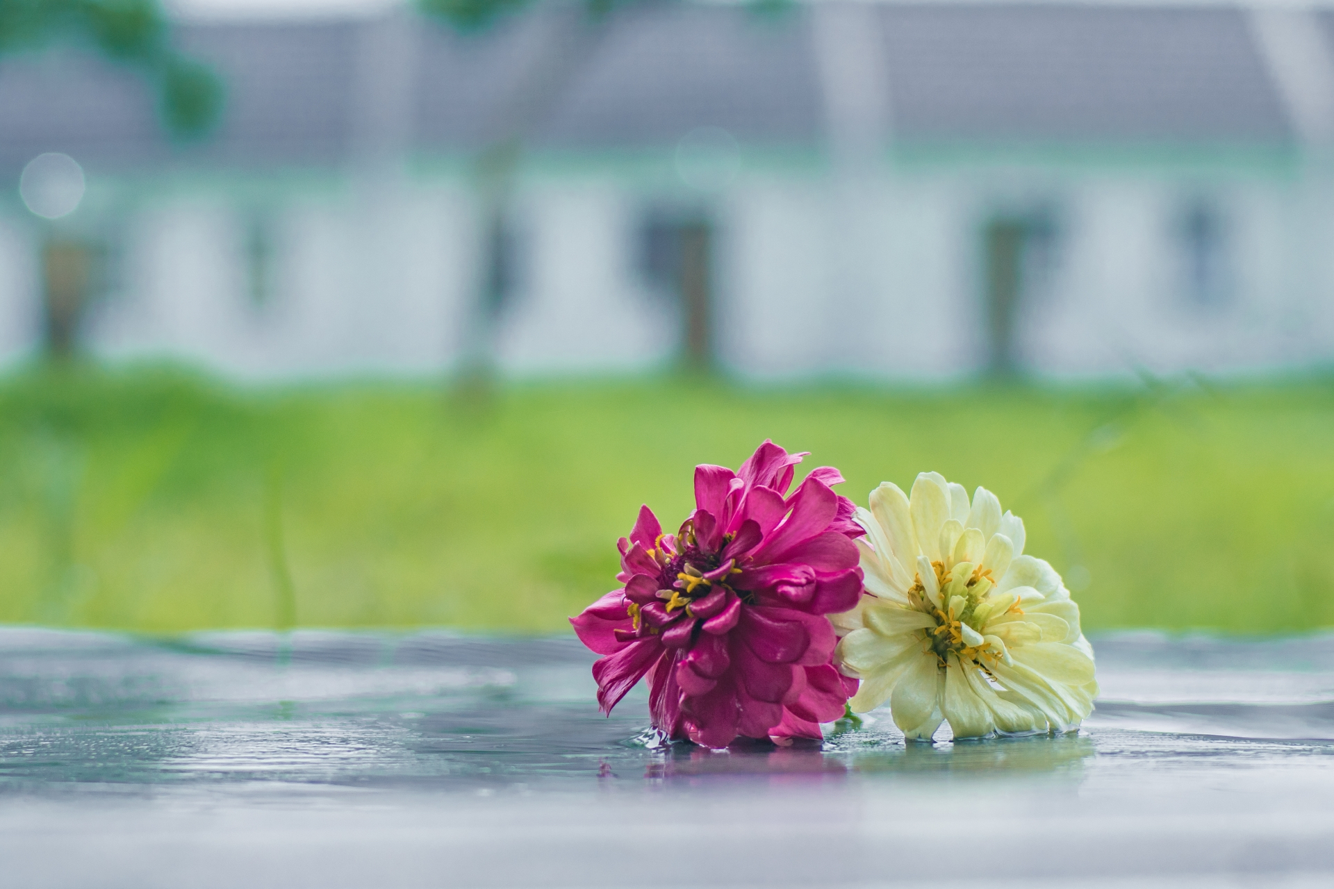 F504AB25-9062-4924-A8F7-3F81DCD499AA.jpeg