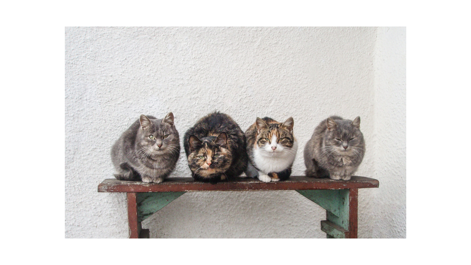 名称未設定のデザイン (45).png