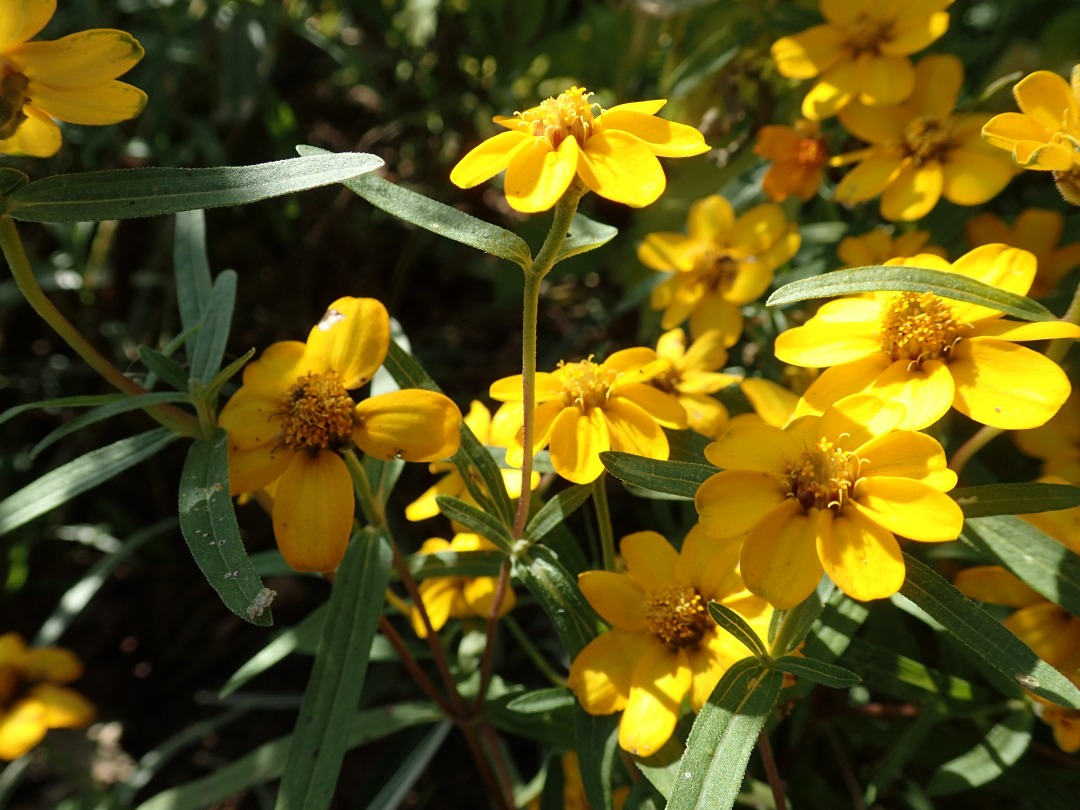 PA100077.JPG