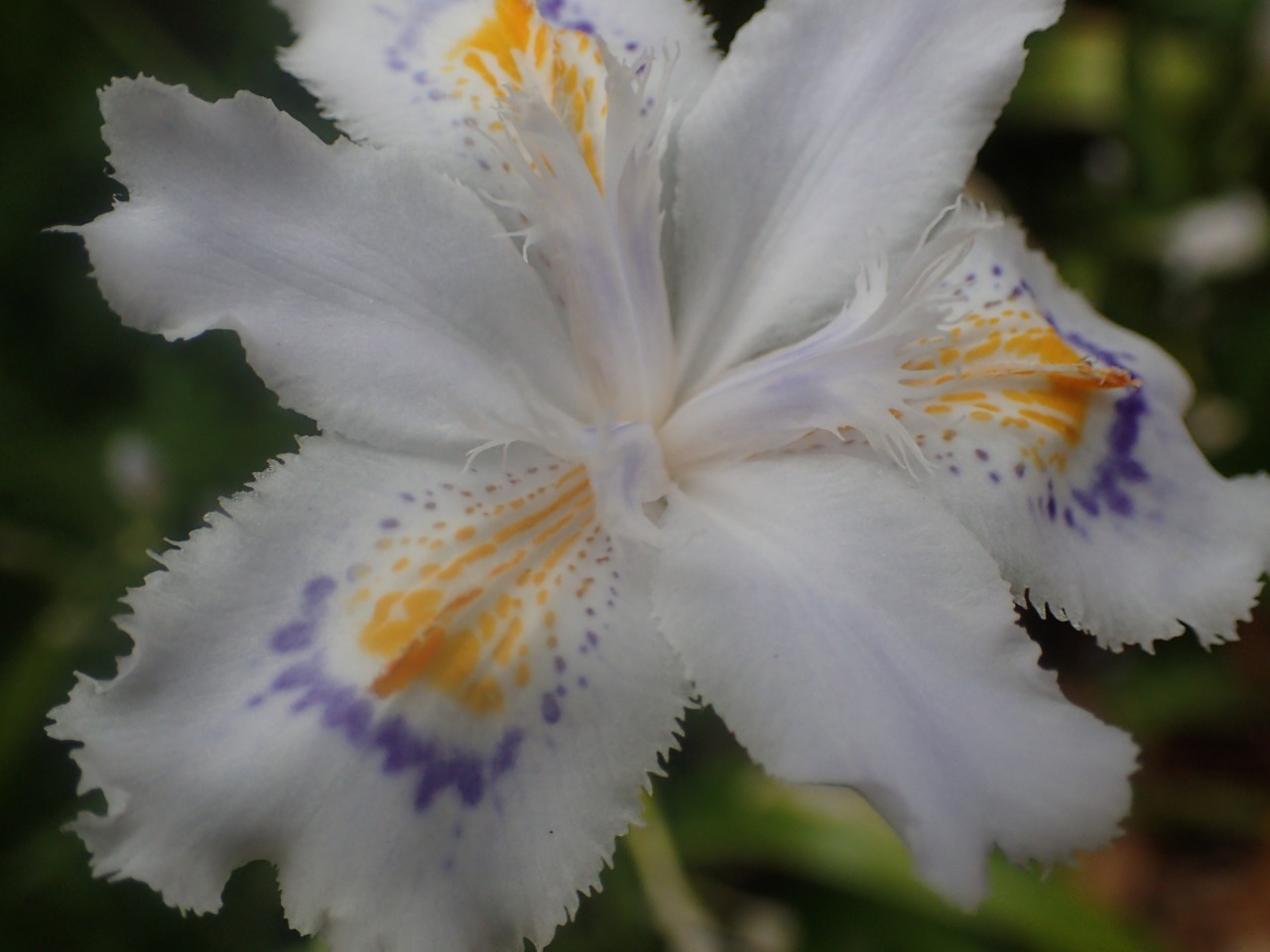 P4120427.JPG