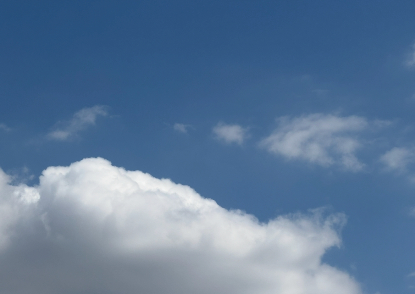 最新の写真を表示 11.png