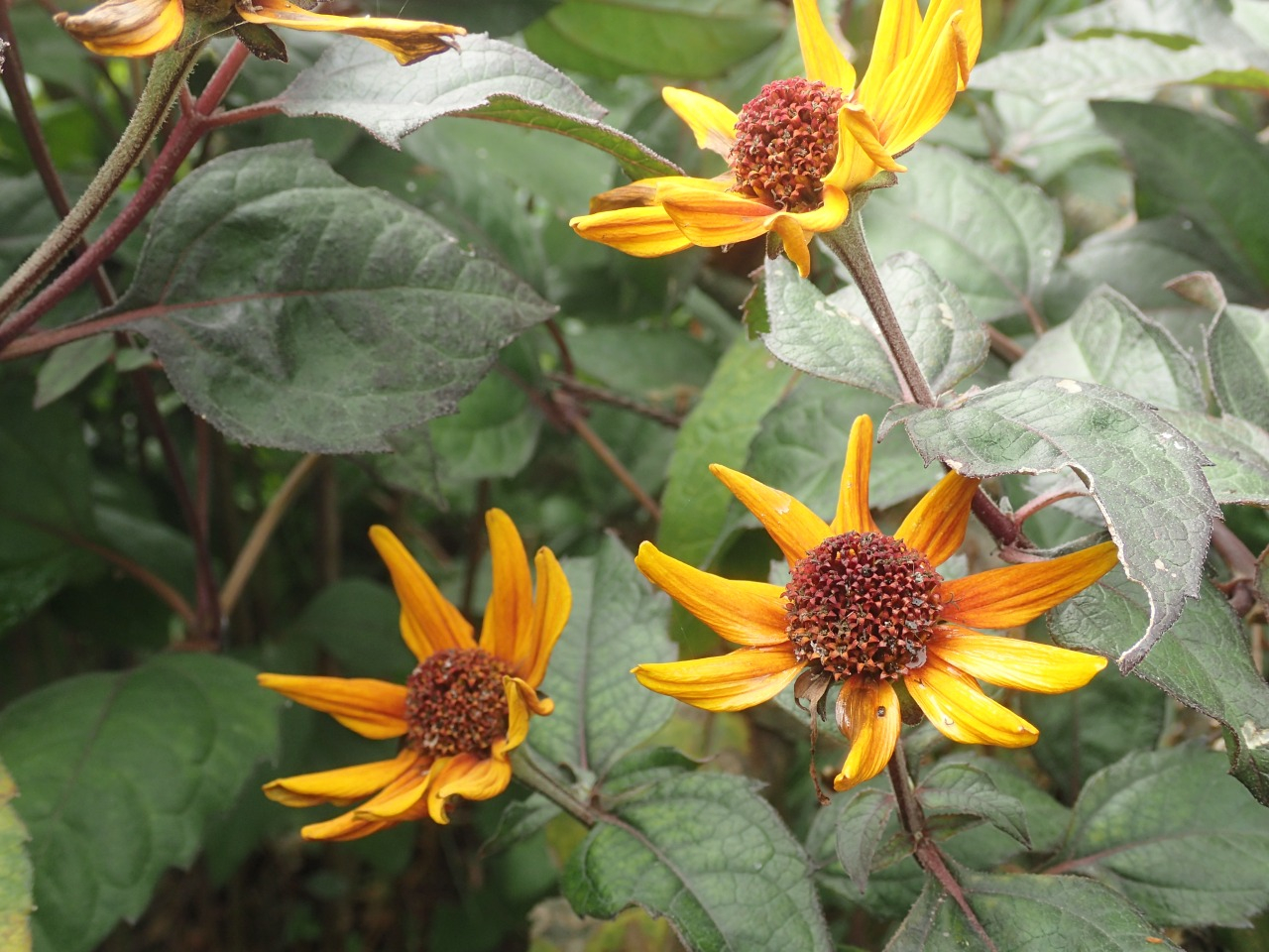 PA120297.JPG