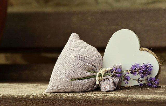 lavender-gd0bb97c8f_640.jpg