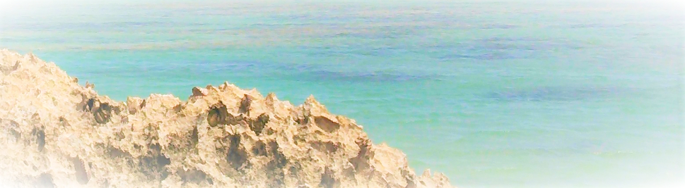 sketch-1638081866755 (2).png