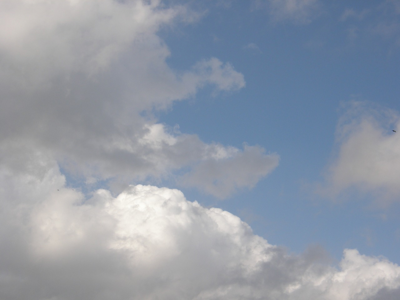 P4150291.JPG
