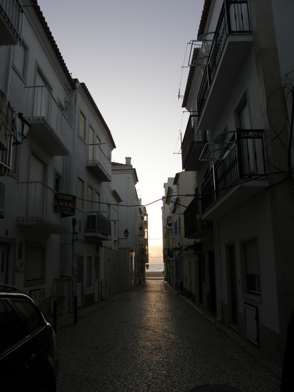 P1261446.JPG