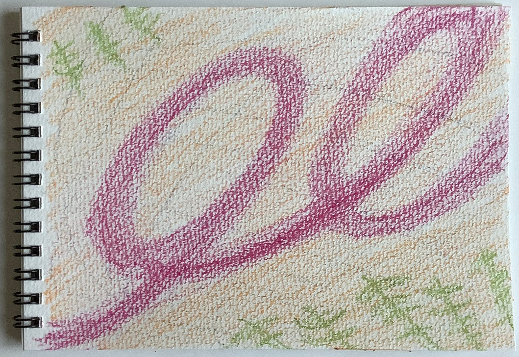 20230705.jpg