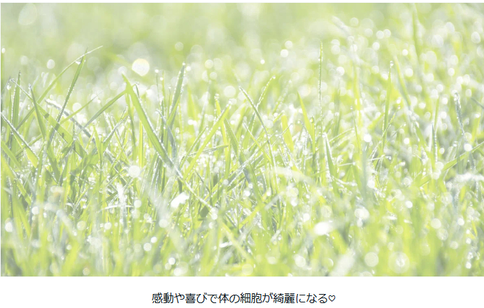1タイトルなし.png