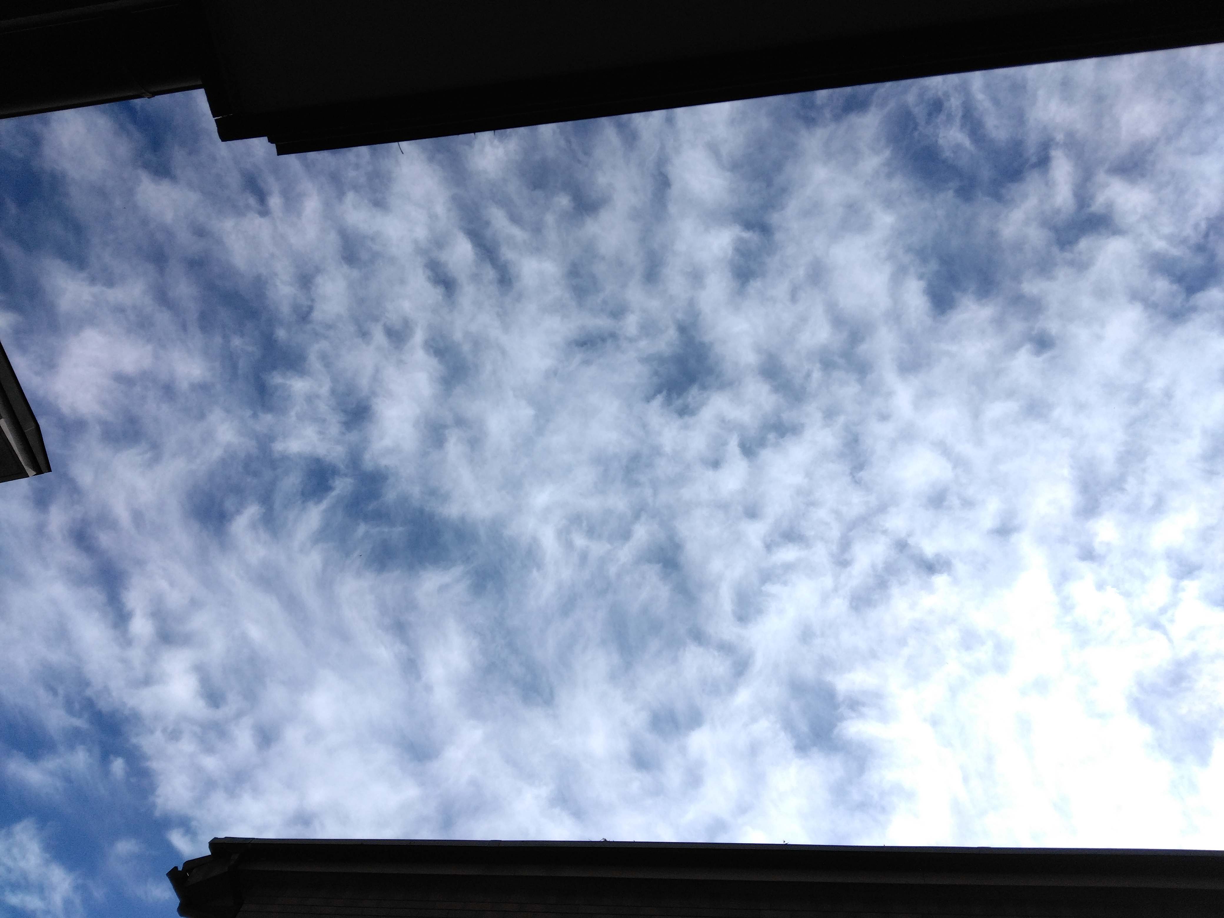 IMG_20251112_134944.jpg