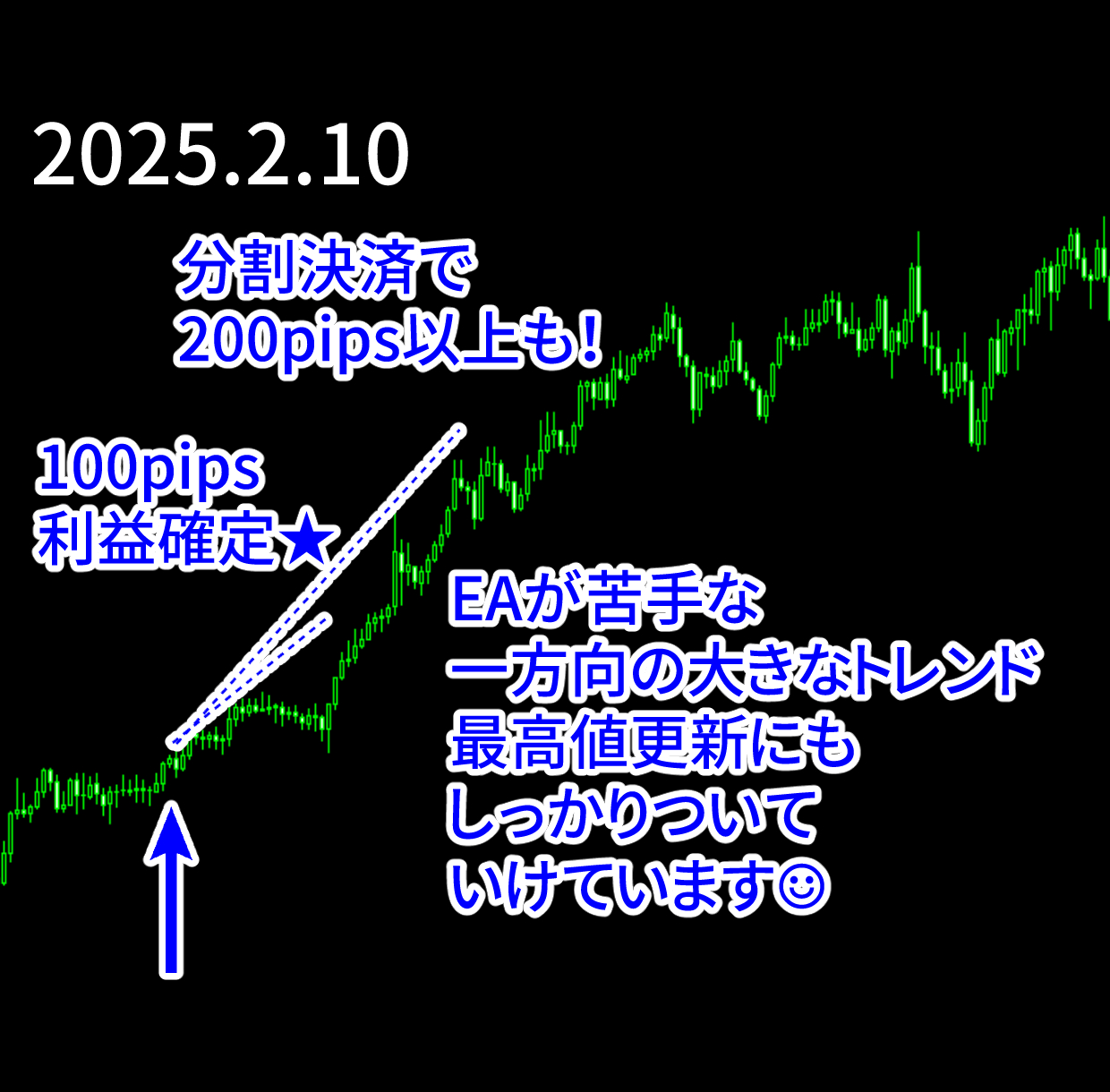エントリー例_250210.png