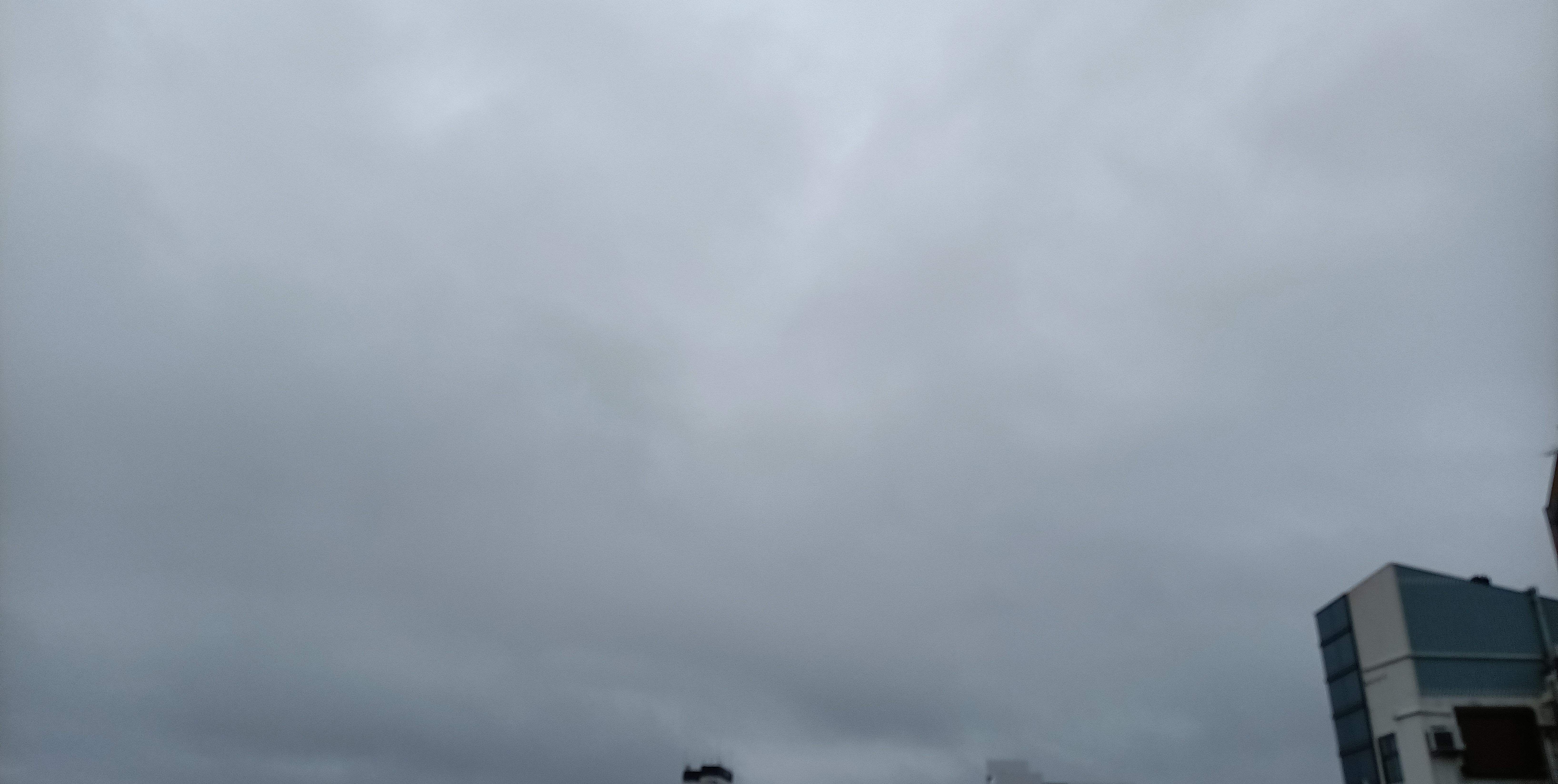 IMG_20240507_080527.jpg