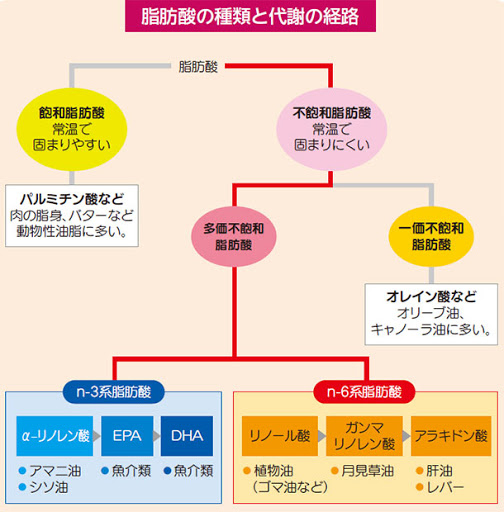脂肪酸の種類.jpg