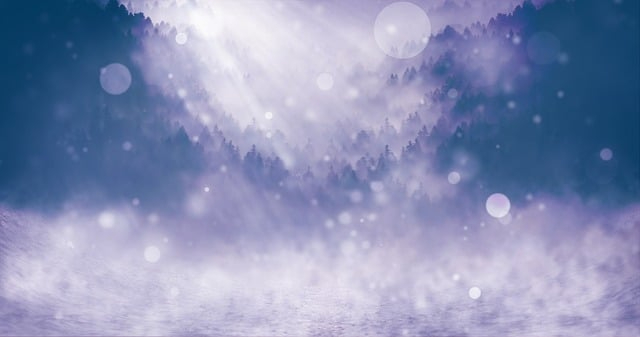 winter-1836873_640.jpg
