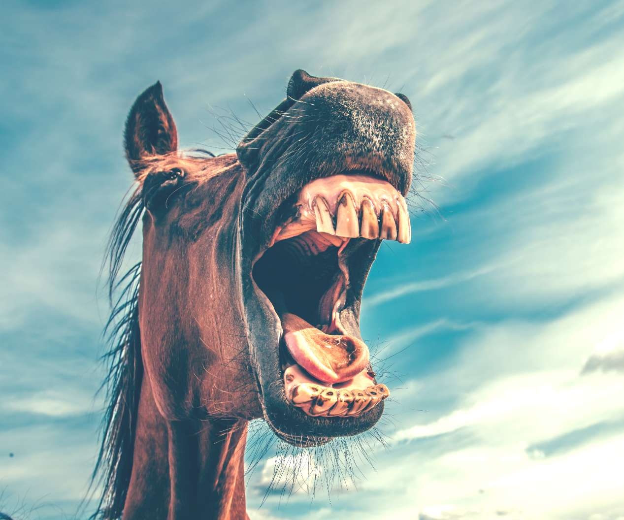 mikael-kristenson-EXuKQaf3Ei8-unsplash (1).jpg