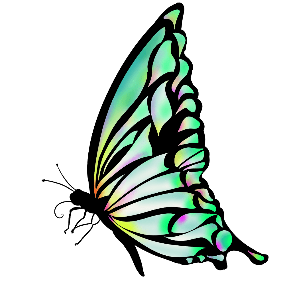 Butterfly２.png