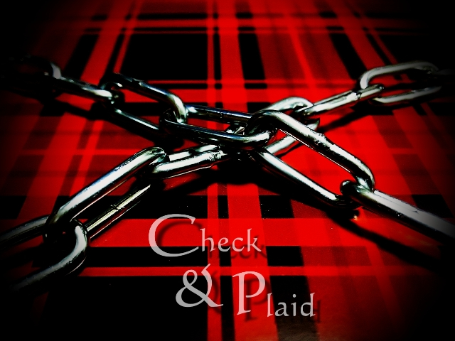 Check&Plaid・ジャケット.JPG