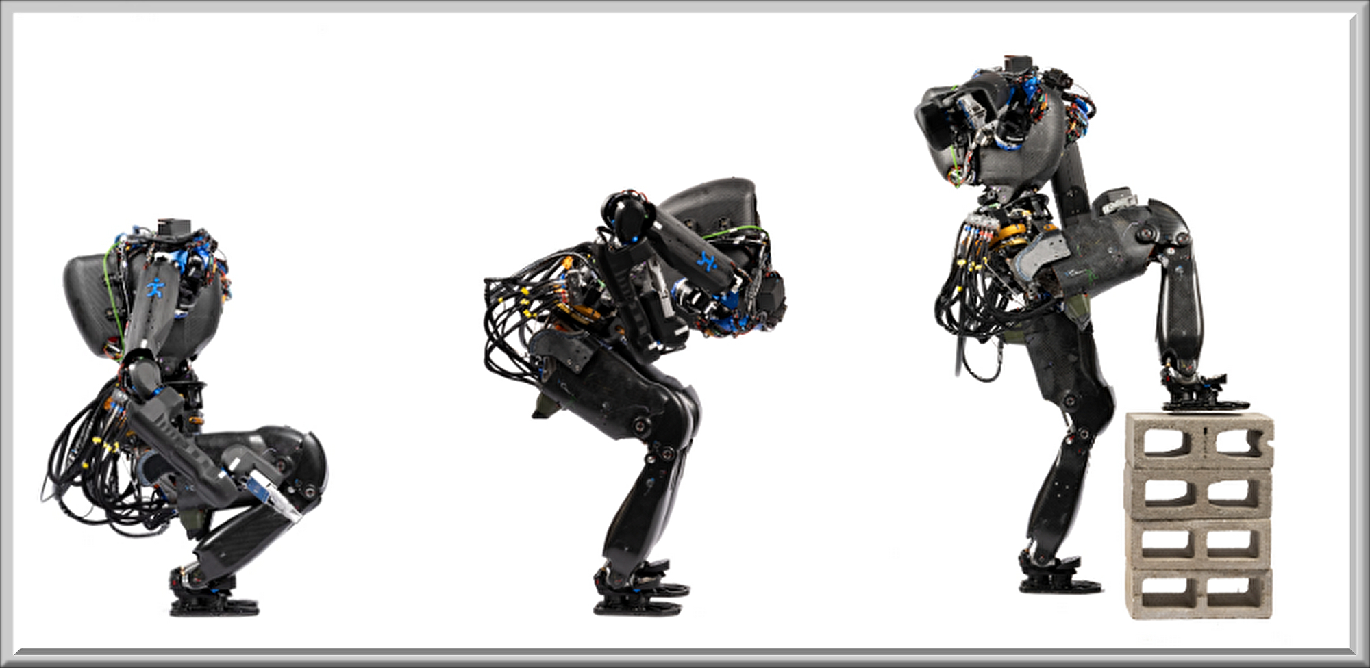sr1j6V8TUJ3ORx21701376054_1701376084.png