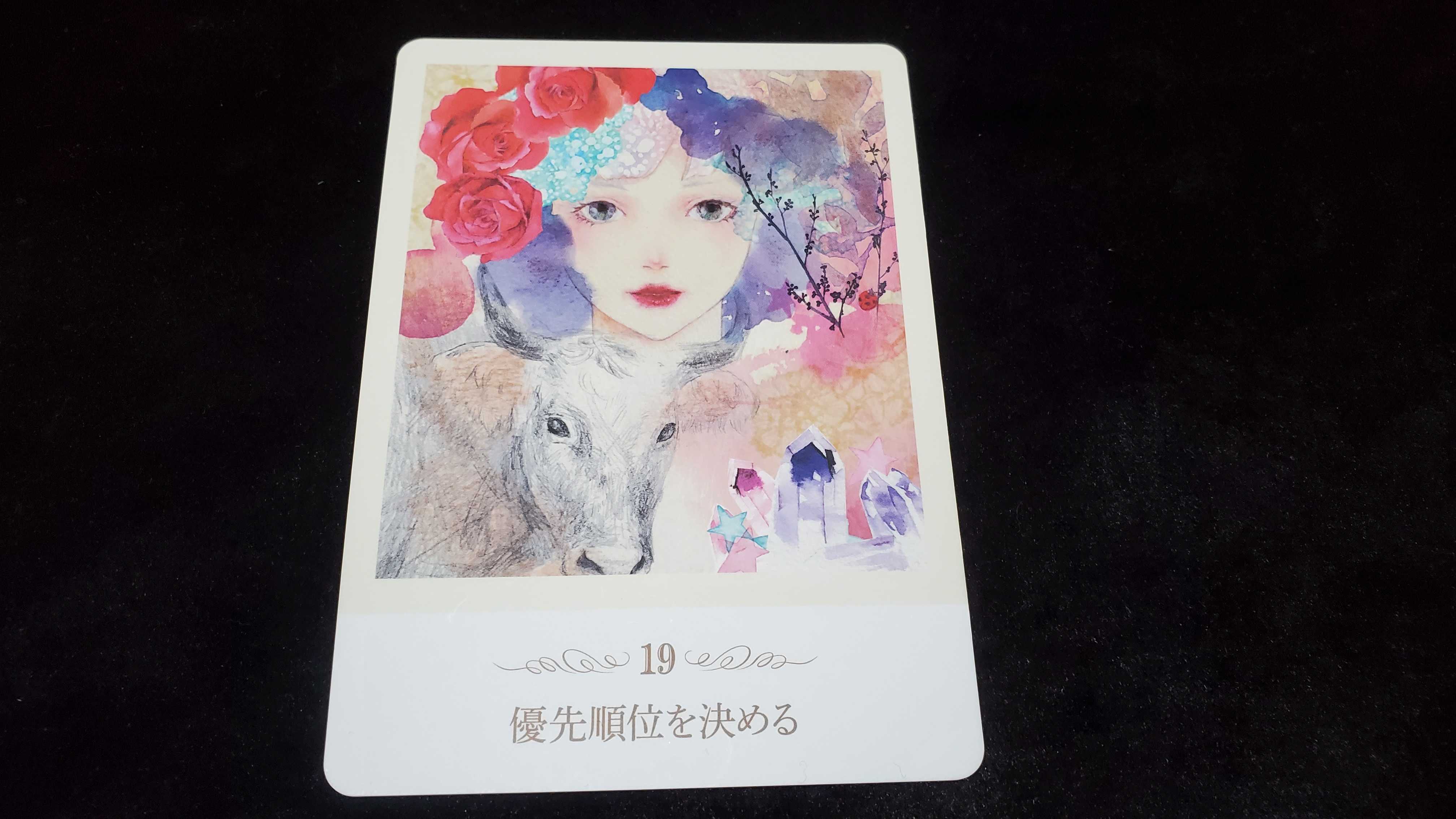 card00.jpg