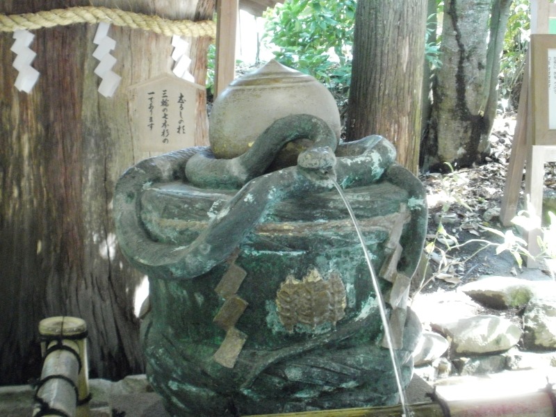 image.jfif
