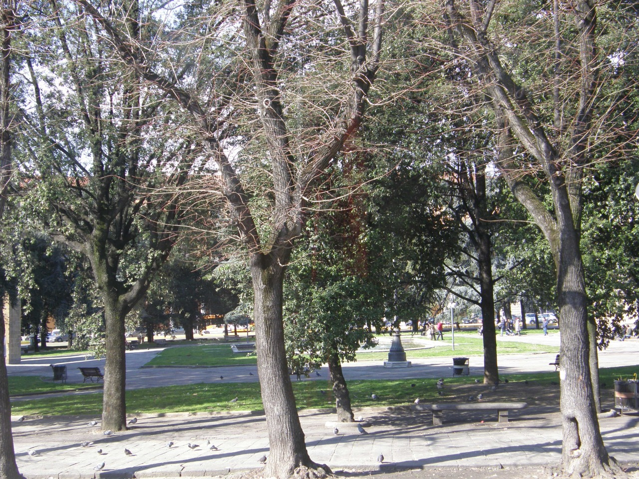 P2150229.JPG