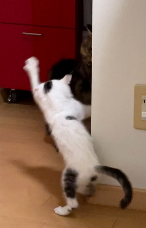 つなはく①.jpg