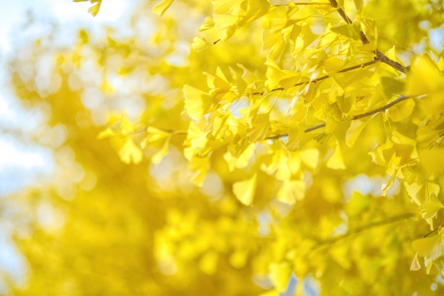 788C48BB-D2F3-4DE6-B292-795615F14E43.jpeg