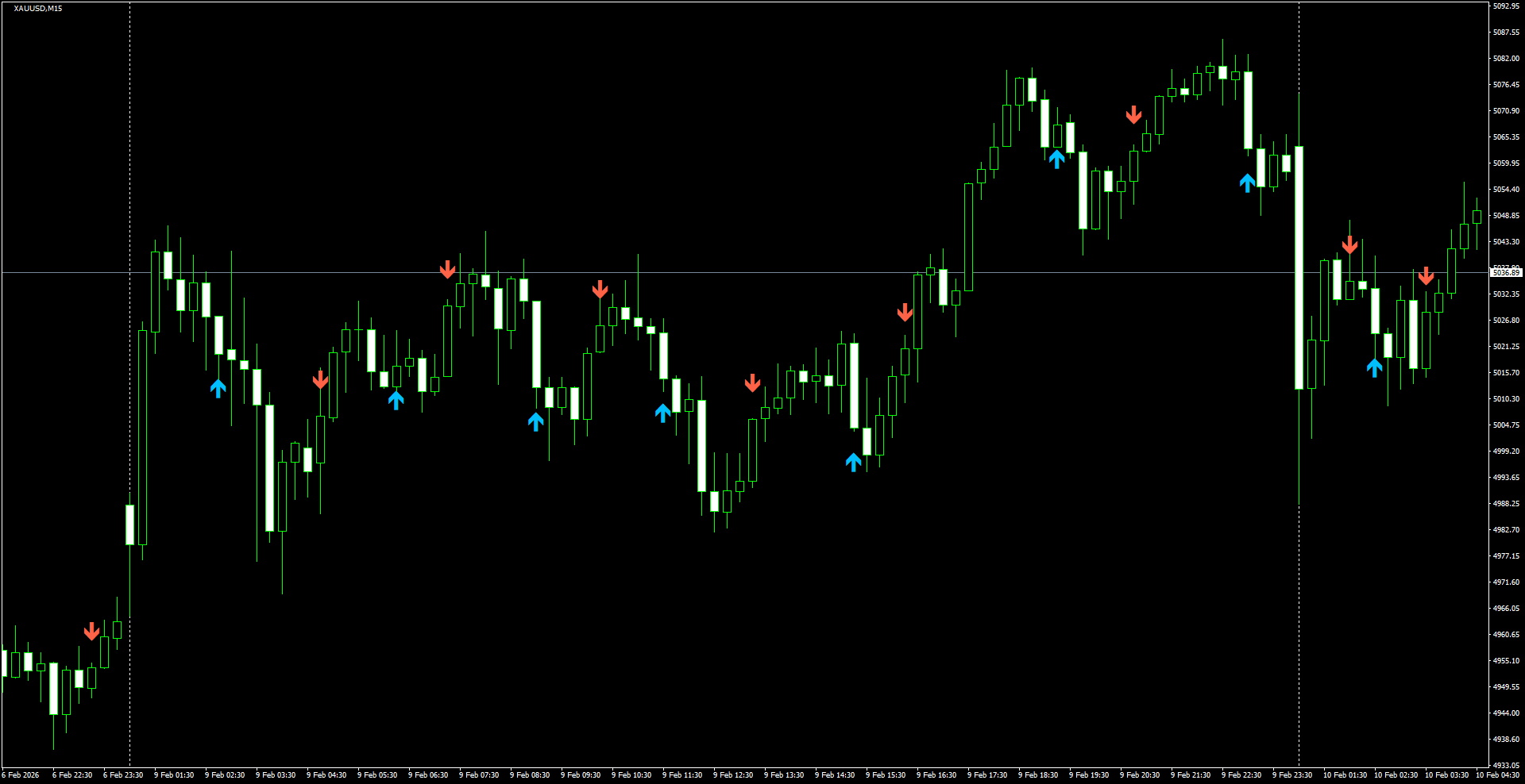 XAUUSD(M15)_2026.02.10_222518.png