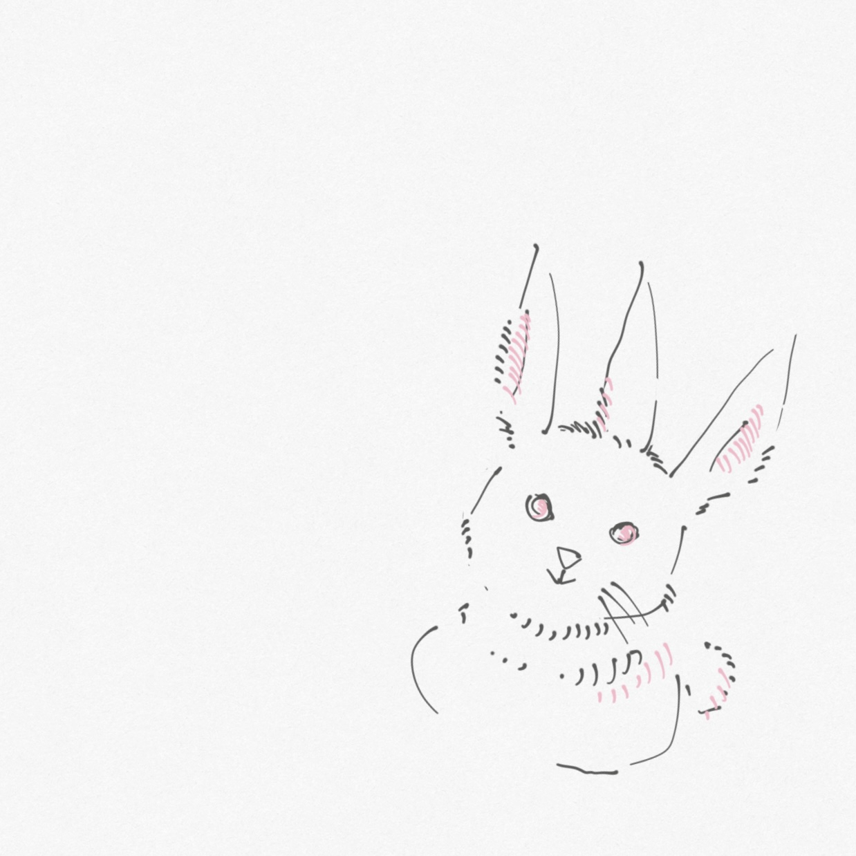 三本耳うさぎ.jpg