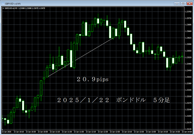 20250122ポンドドル５分足.png